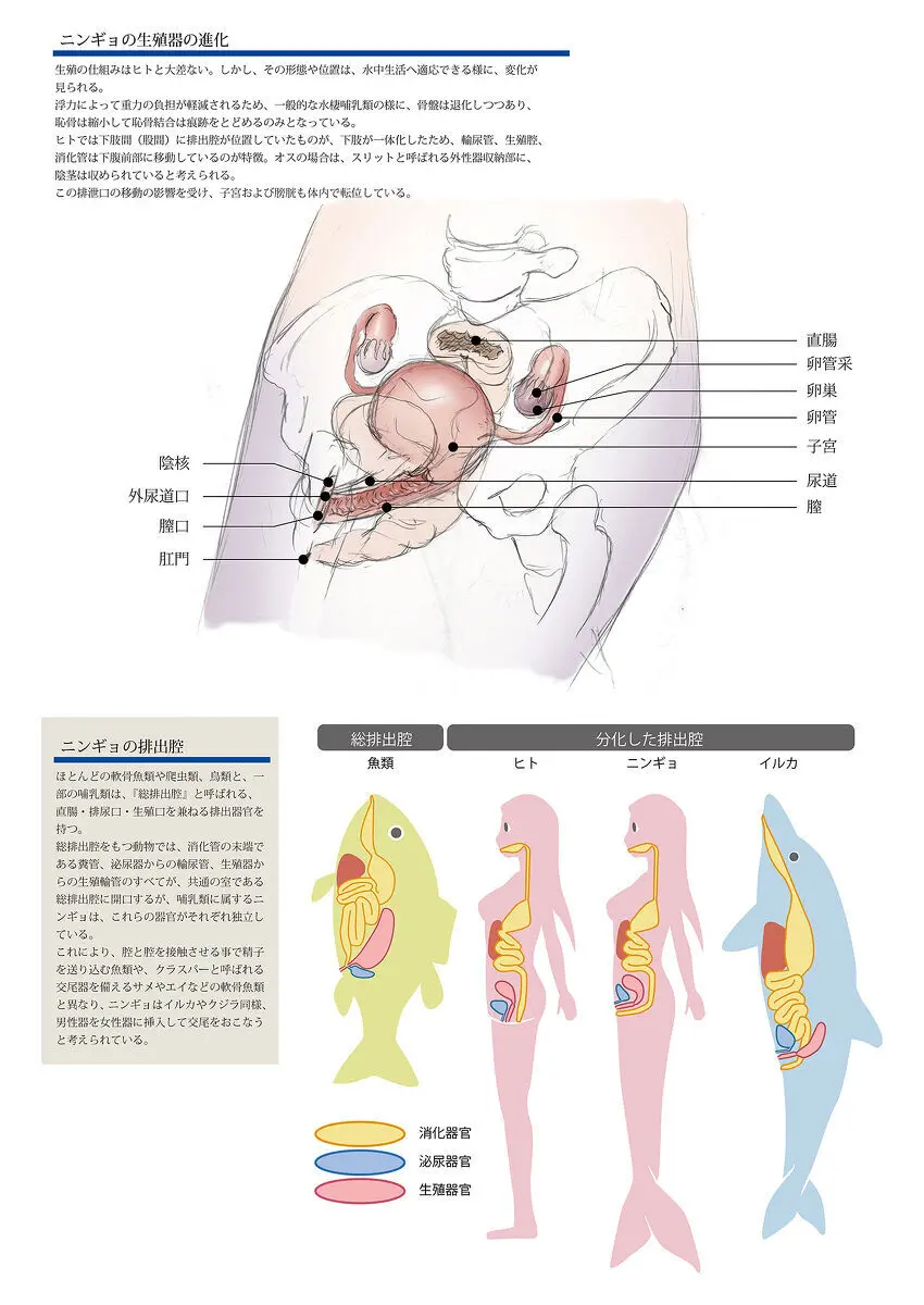 ビッチマーメイド 01-21 Page.30