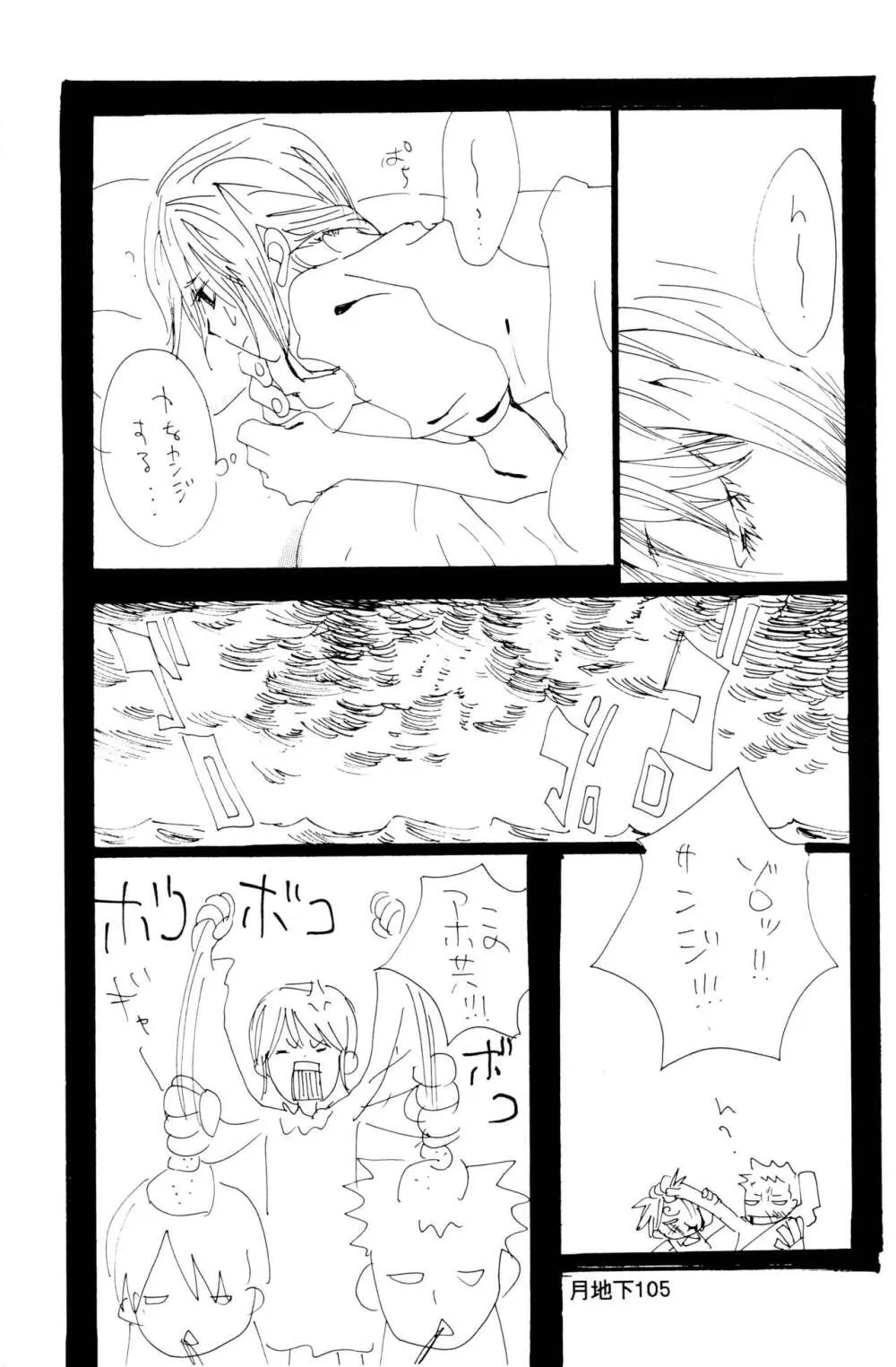 バラの花 Page.33