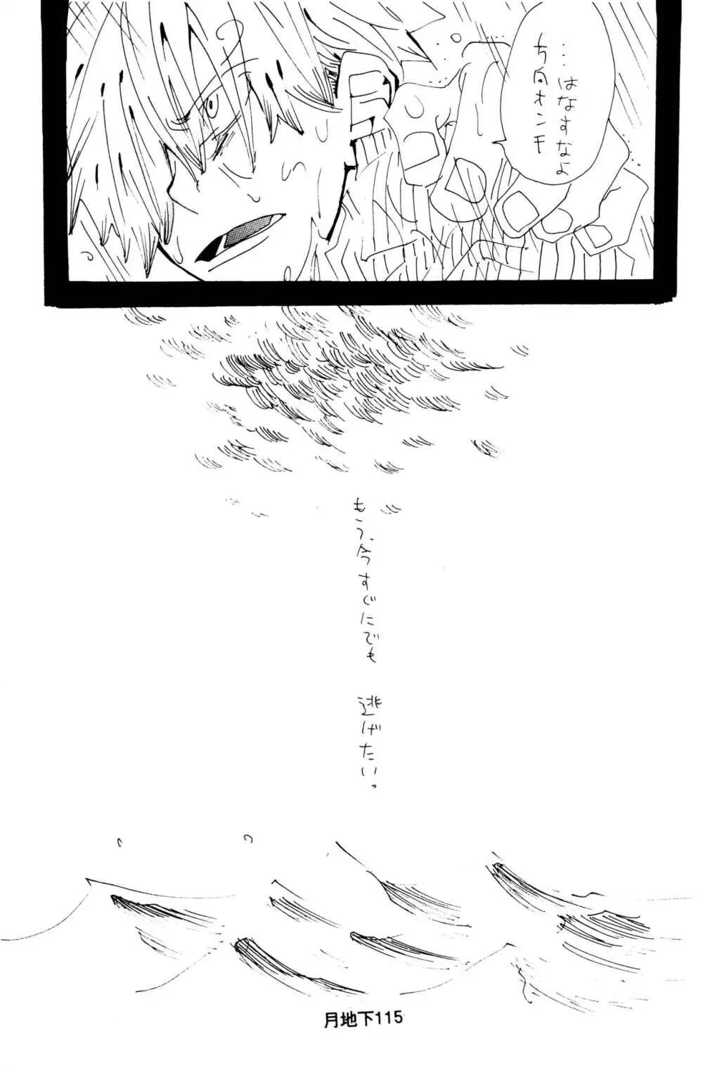 バラの花 Page.43