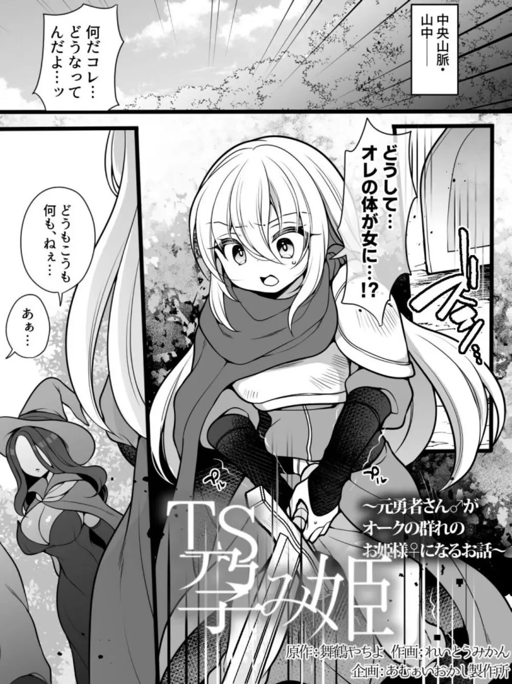 TS孕み姫 ～元勇者さんがオークの群れのお姫様♀になるお話～ Page.2