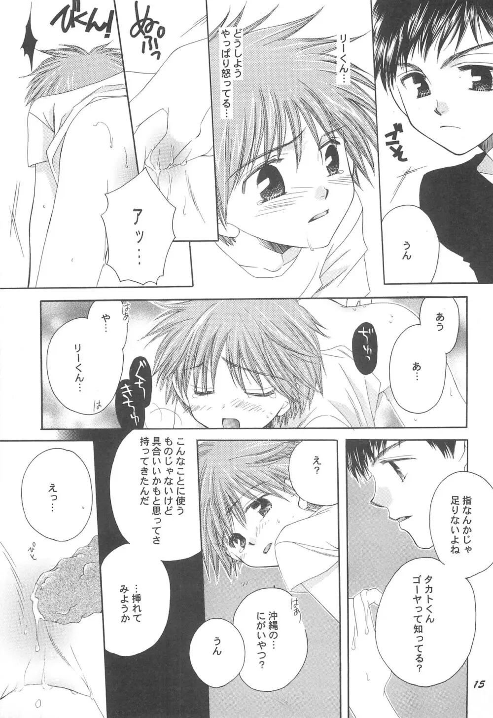 夏の王子様 Page.17