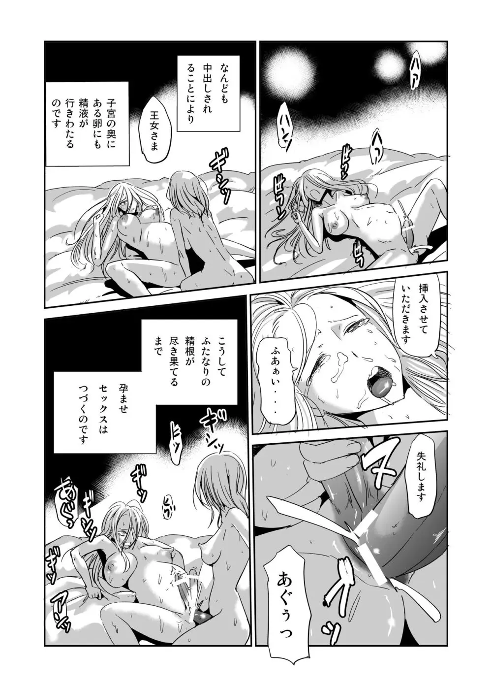 ふたなり王国 王女のおしごと Page.3