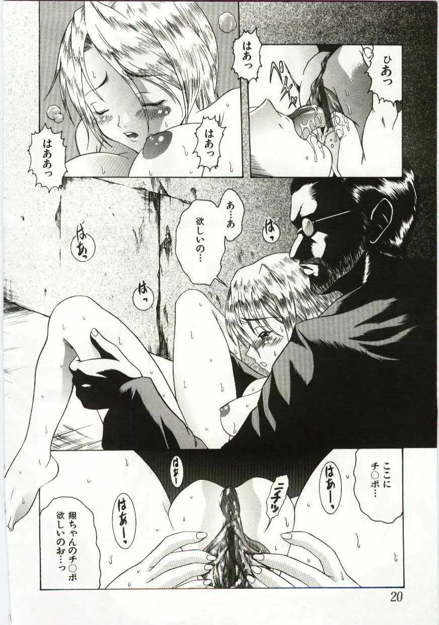 姦淫の家 Vol.6 ～母子異常性愛編～ Page.19