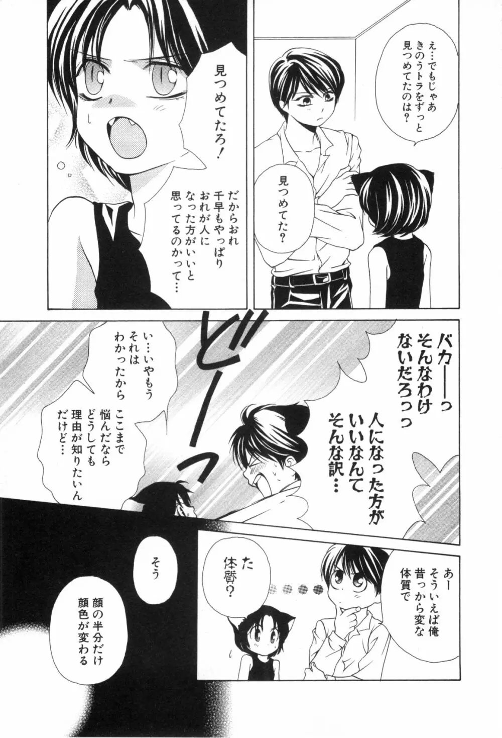 ねこかん Page.126