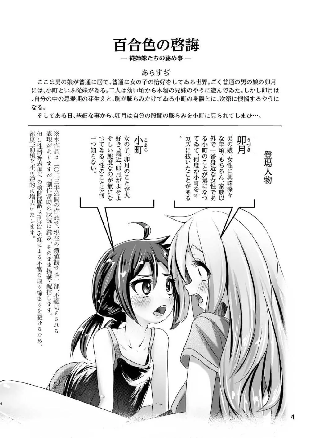 イトコのヒメゴト ――エッチしたい男の娘と エッチを知らない女の子の 初めてのエッチ―― Page.4