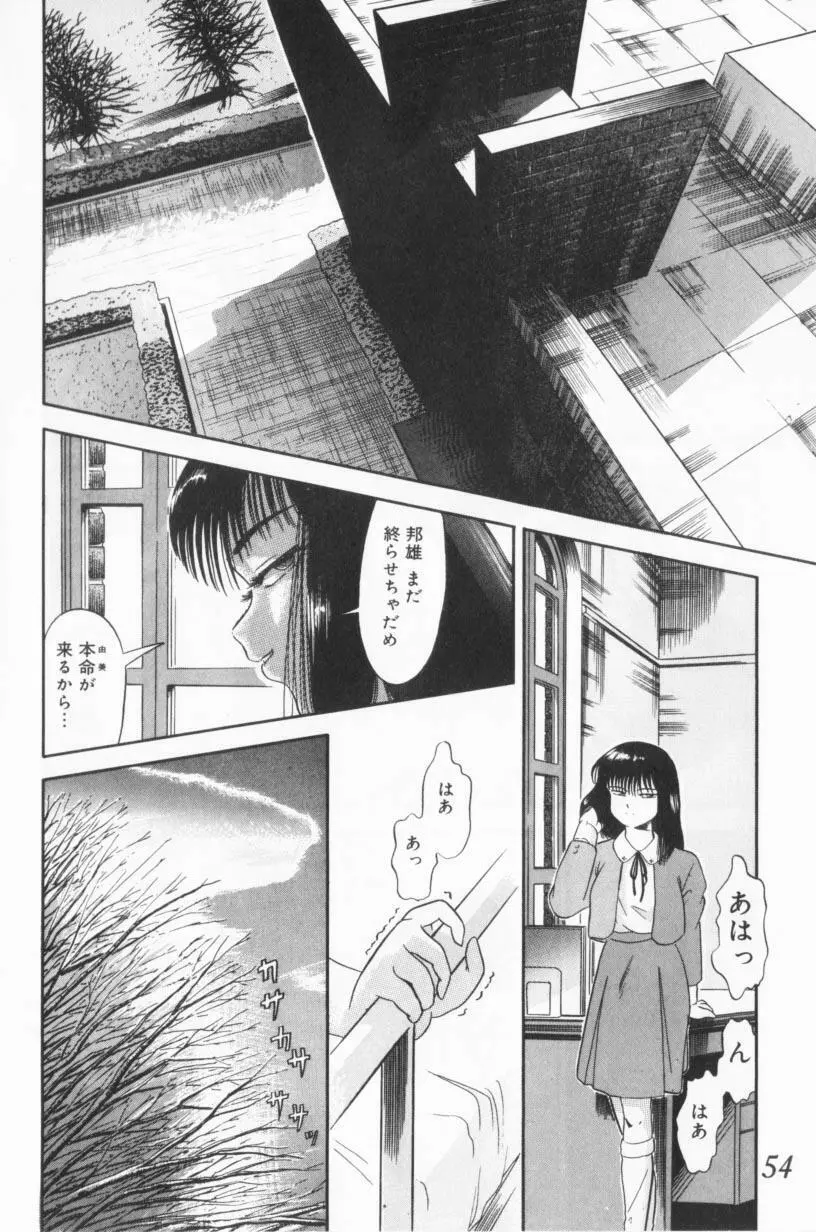 小悪魔の降る夜に Page.54