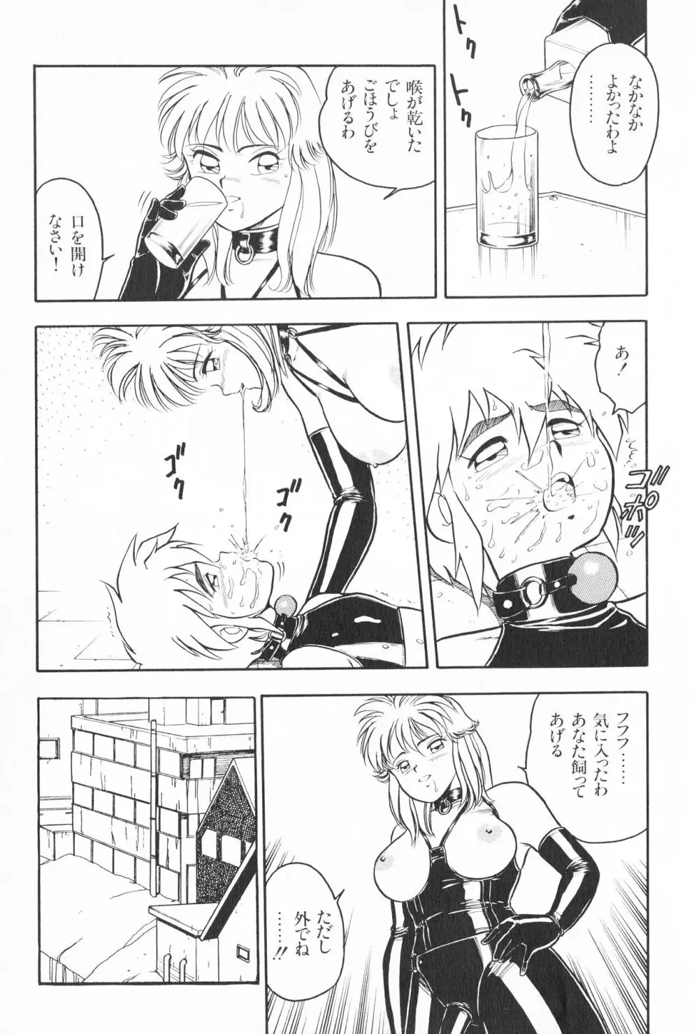 デザート・ミストレス Page.15