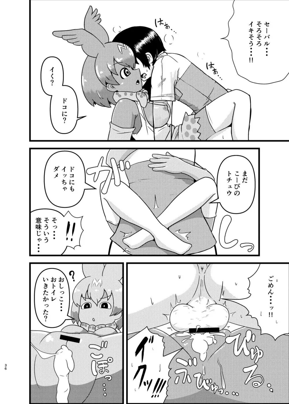 けもフレ無知シチュエーション合同 Page.36