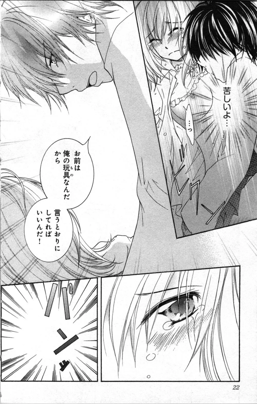 絶対命令いいなり玩具 III Page.22