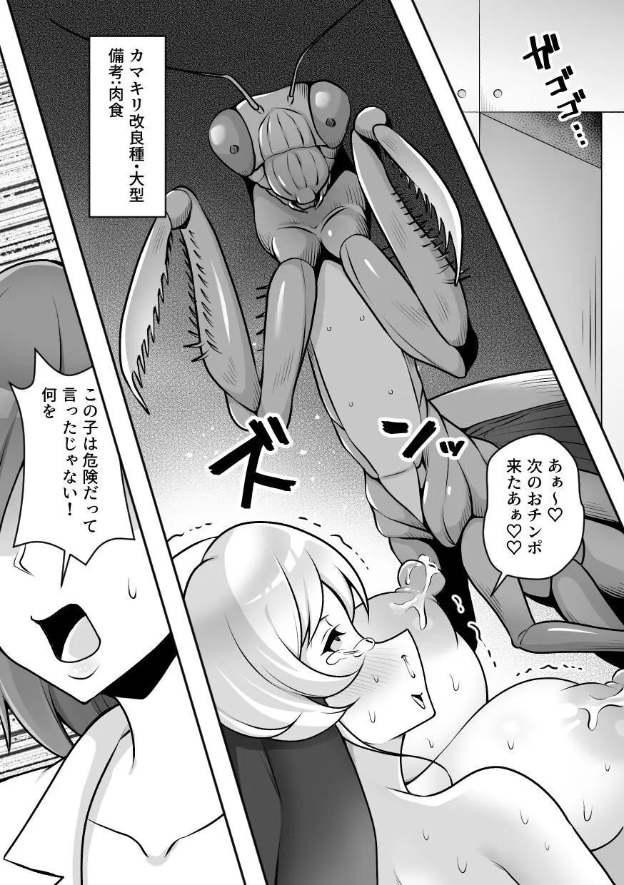 昆蟲研究所２ Page.52