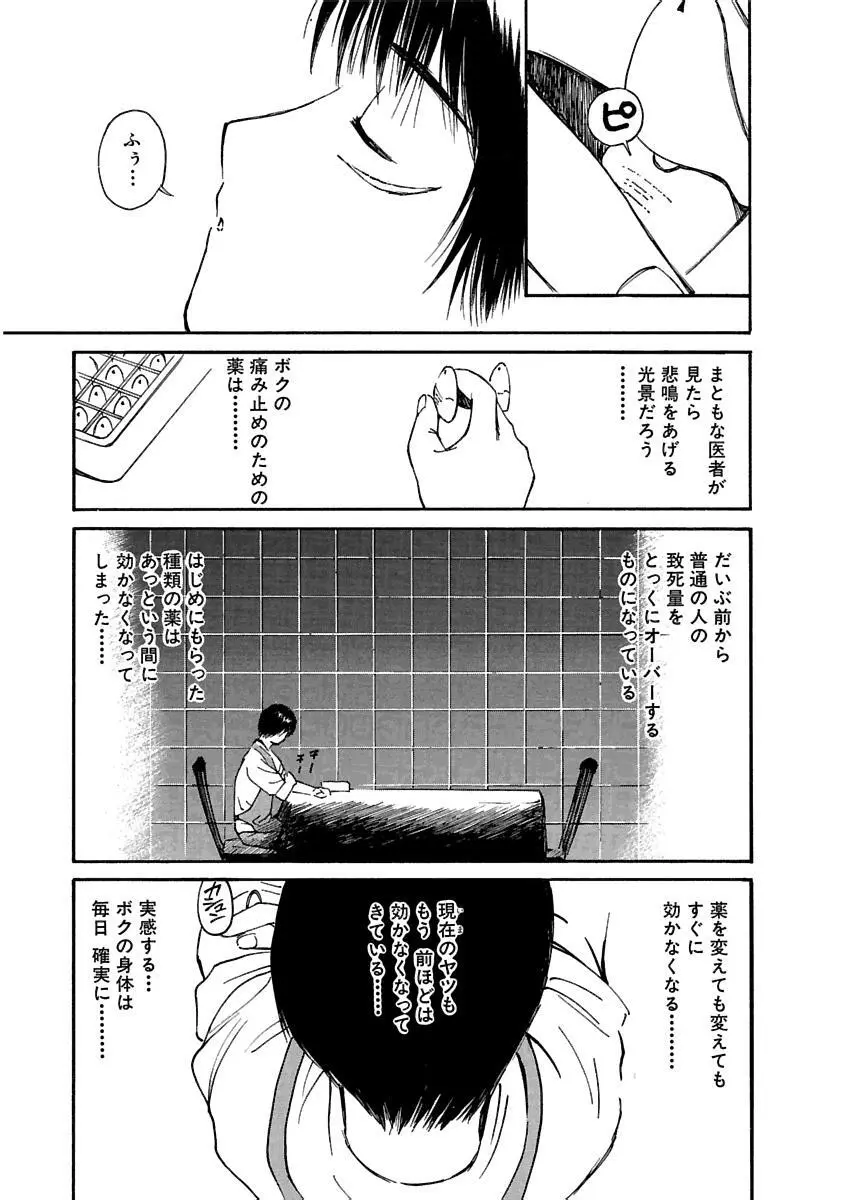 [田中ユタカ] 愛人 [AI-REN] 特別愛蔵版 上 [デジタル版] Page.532