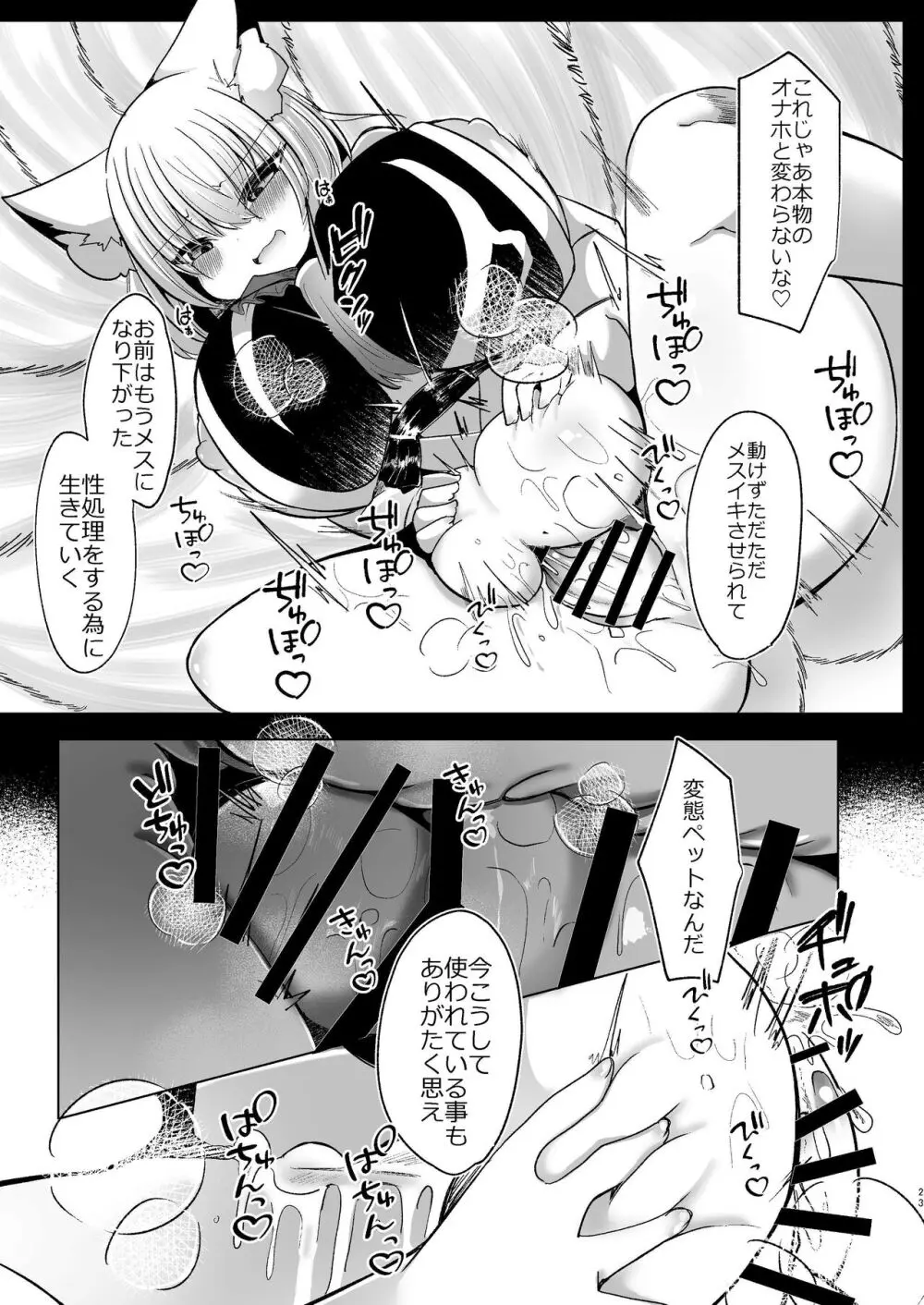 八雲藍が性処理ペットと戯れる本 Page.23