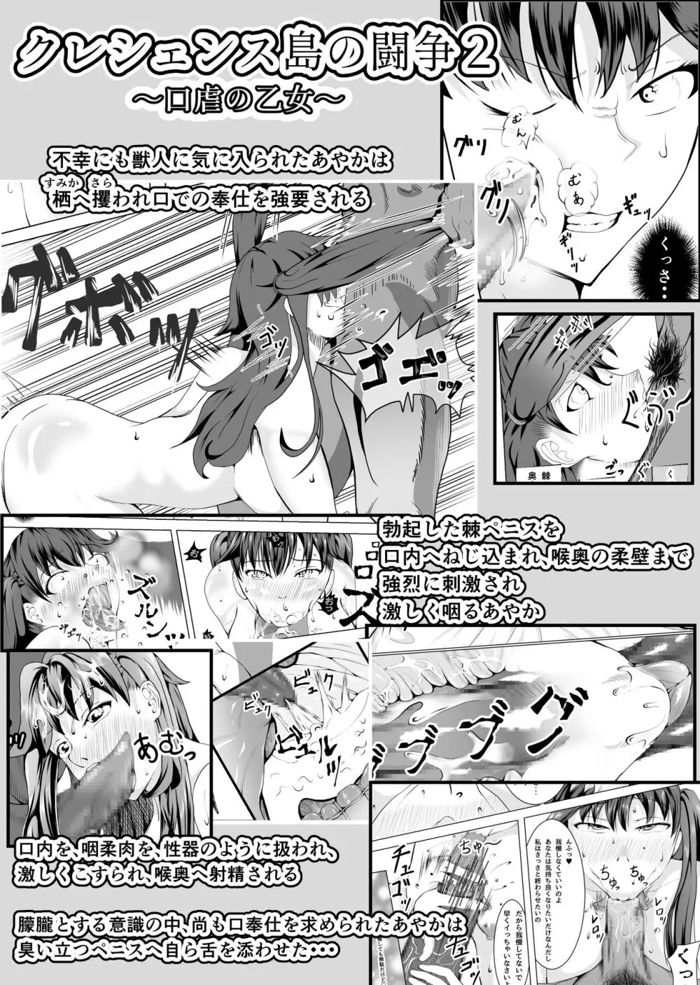 クレシェンス島の闘争12 ～哀艶双姫～ Page.3