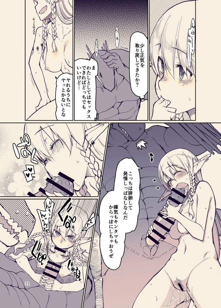 ドスケベエルフの異種姦日記12 Page.30