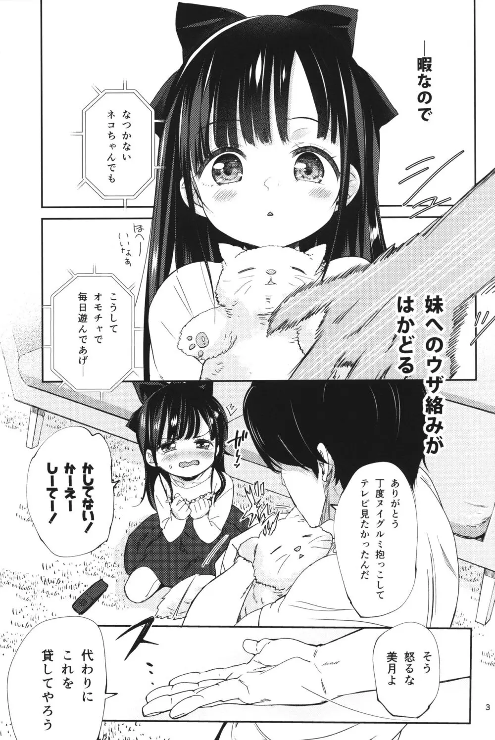 兄の手も借りたい Page.3