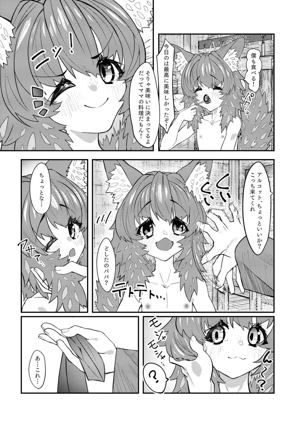 ドラッ娘chanとけもみみショタkun本―運命の?出会い編― Page.8