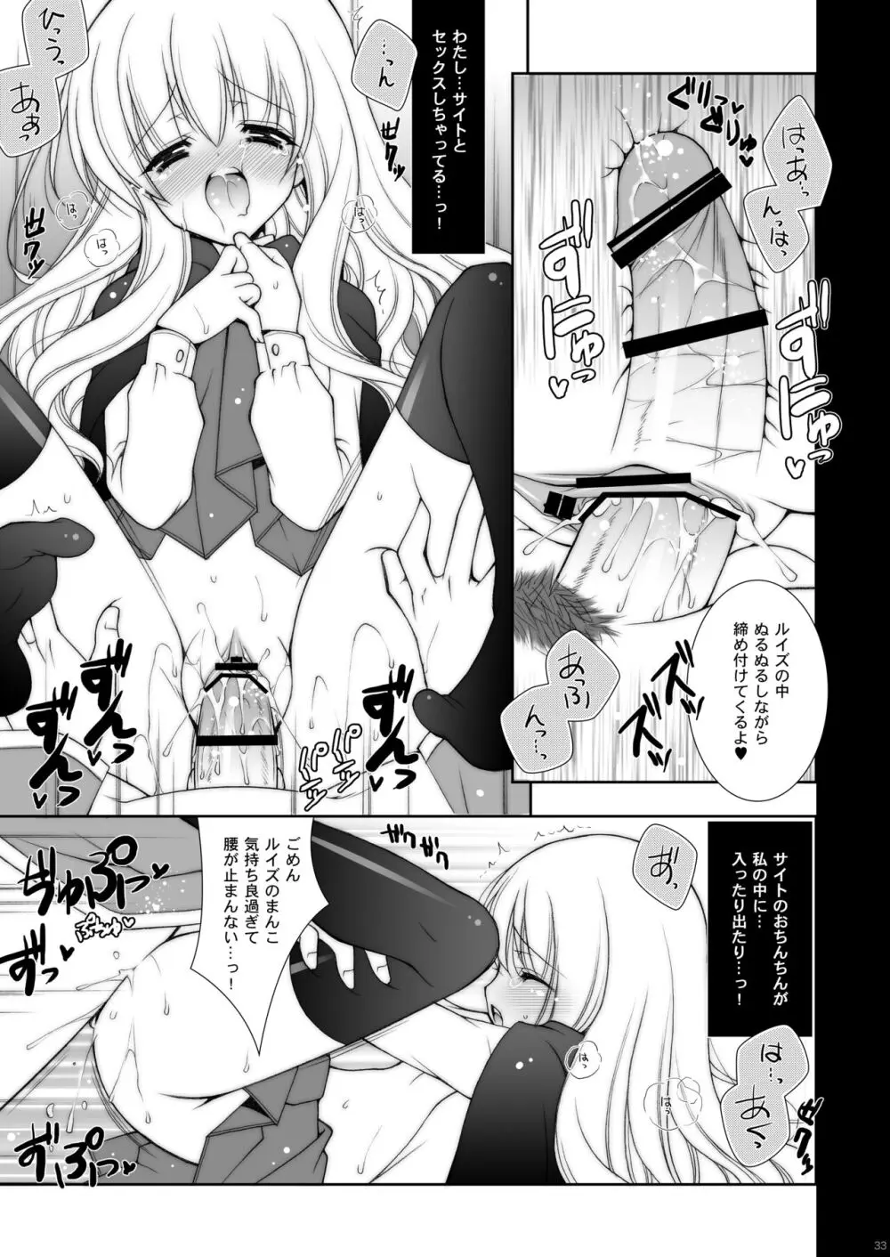 ゼロの使い魔 総集編 Page.33