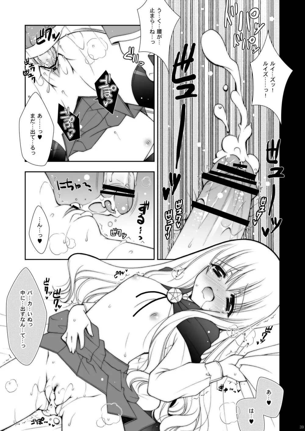 ゼロの使い魔 総集編 Page.39