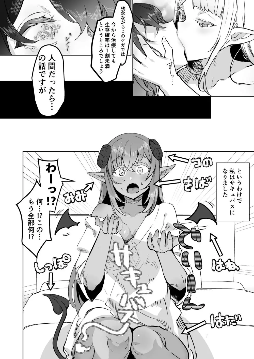 ふたなり治療サキュバスクリニック零~サキュナース研修調教編~ Page.6
