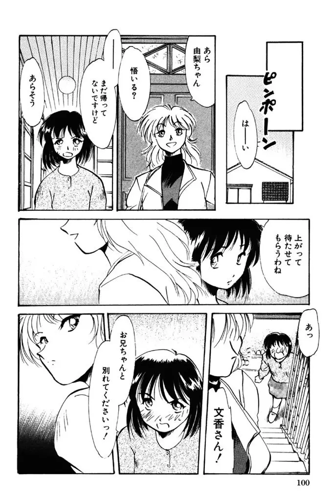 禁断の喜び Page.101