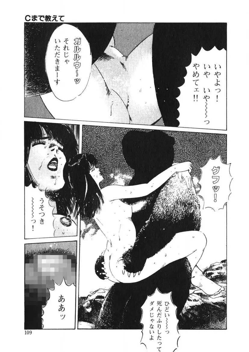 Cまで教えて Page.108