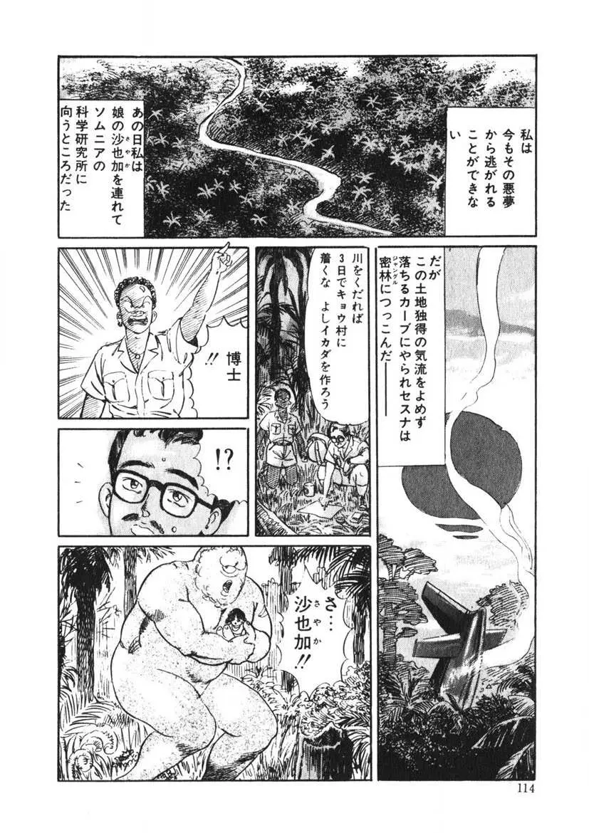 Cまで教えて Page.113