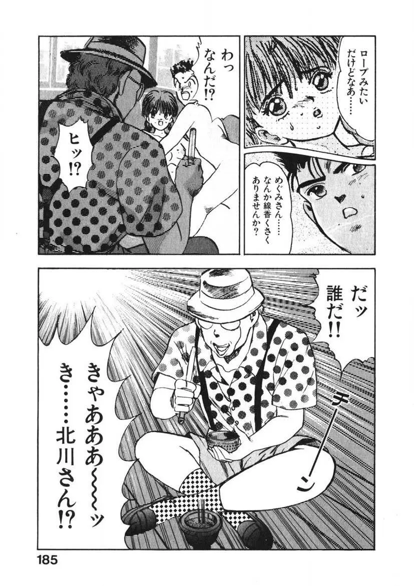 乙女のお願い 第2巻 Page.184