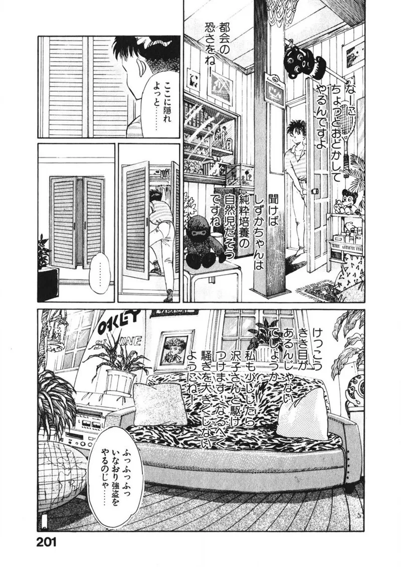 乙女のお願い 第2巻 Page.200