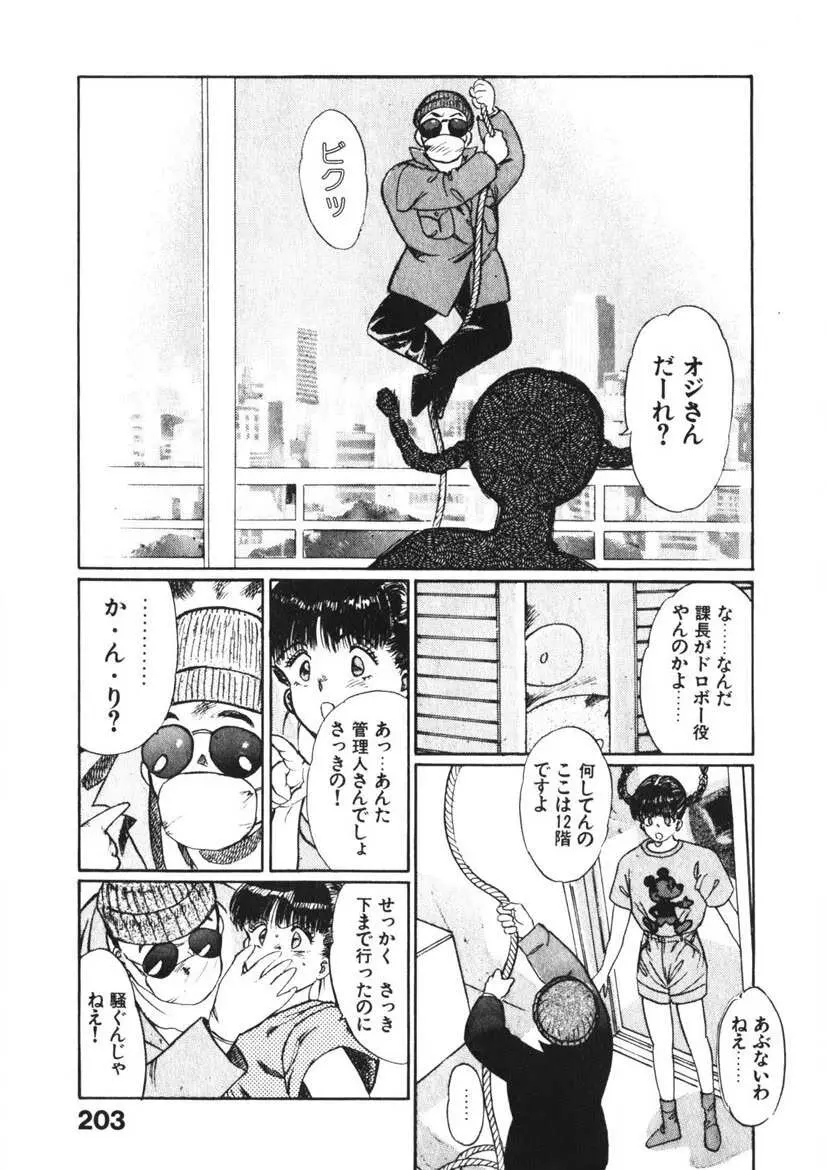 乙女のお願い 第2巻 Page.202