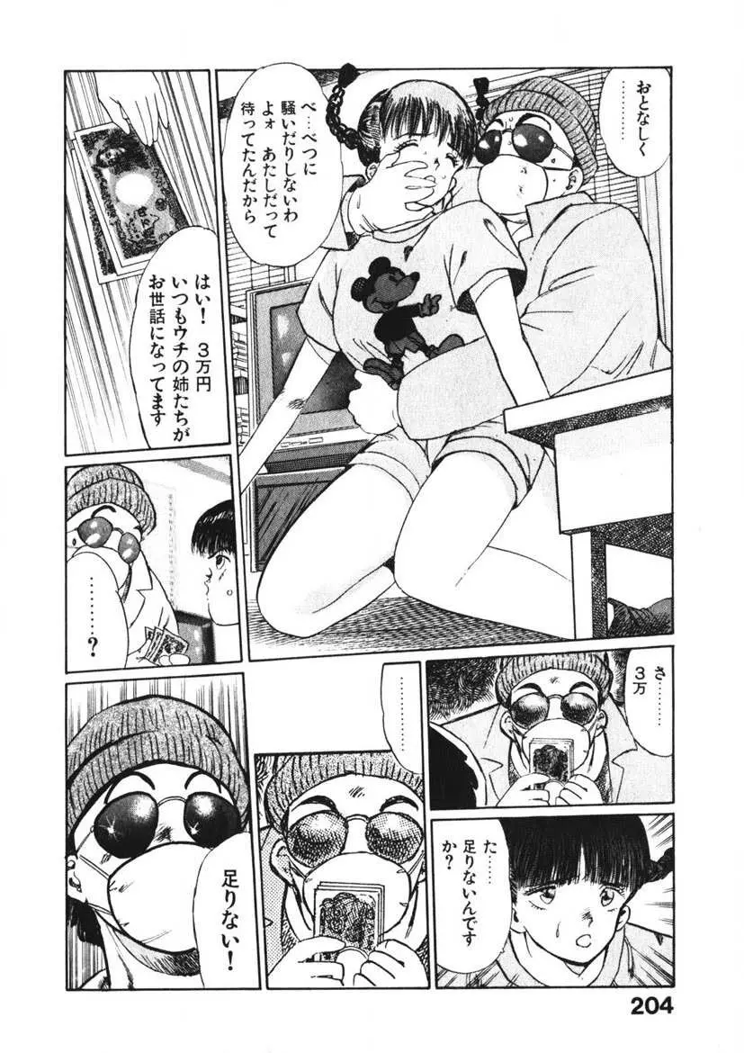 乙女のお願い 第2巻 Page.203