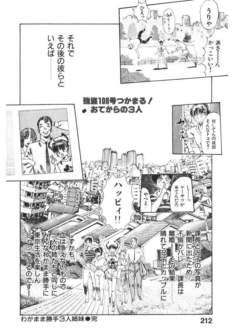 乙女のお願い 第2巻 Page.211