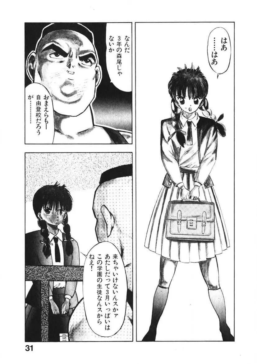 乙女のお願い 第2巻 Page.30