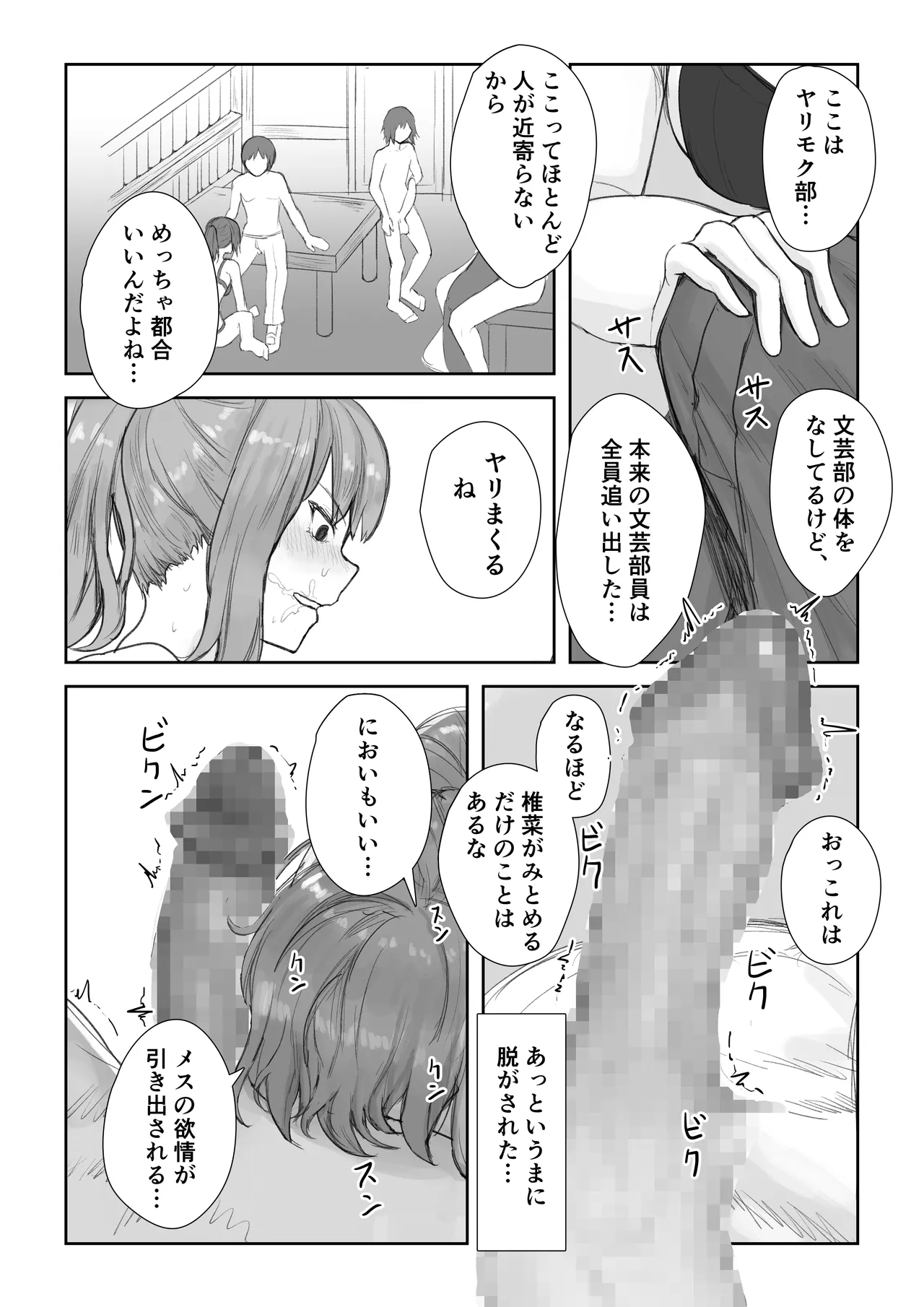 放課後ヤリモク部〜ひとめぼれの清楚ビッチと乱交三昧〜 Page.12