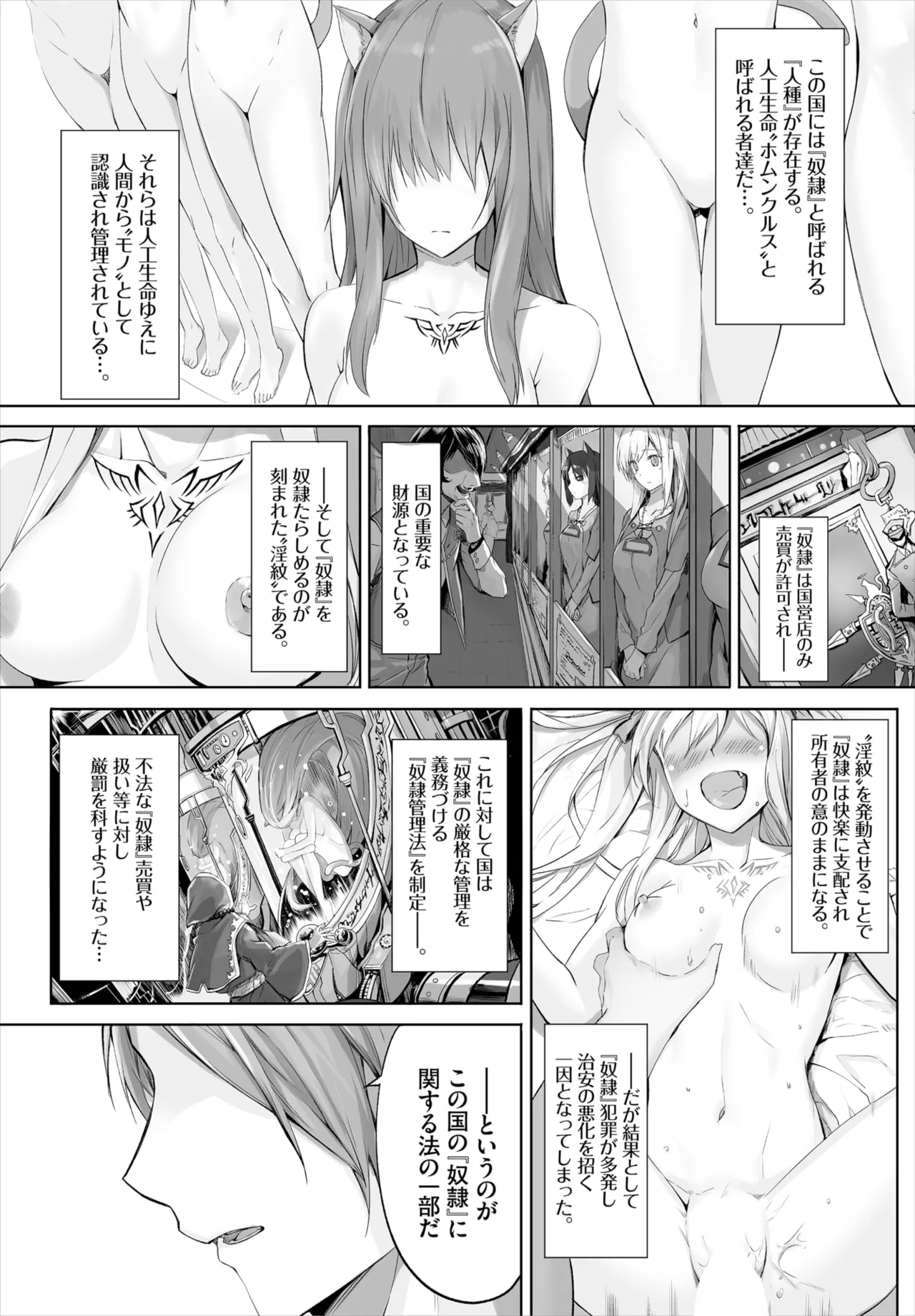 愚か者は猫耳奴隷に依存する~初めての調教生活~ 01-29 Page.2