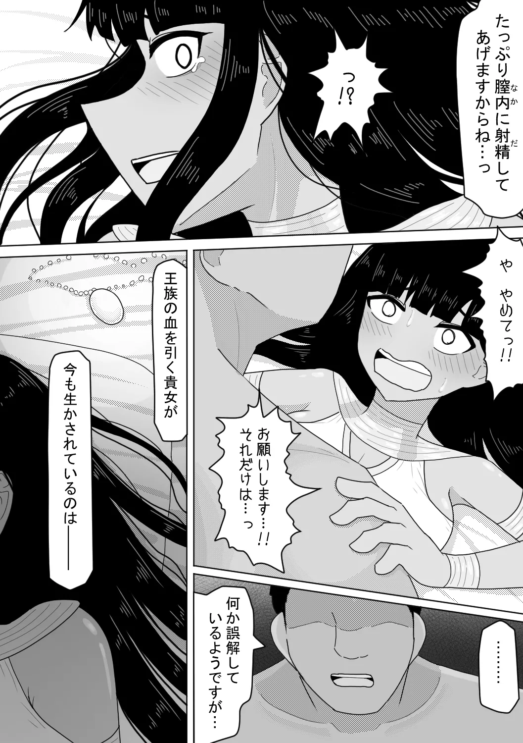 亡国の姫君~罪なる妖美~ Page.14