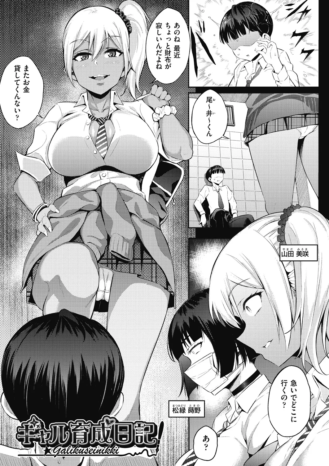 ギャルのやりらふぃーにっき Page.5