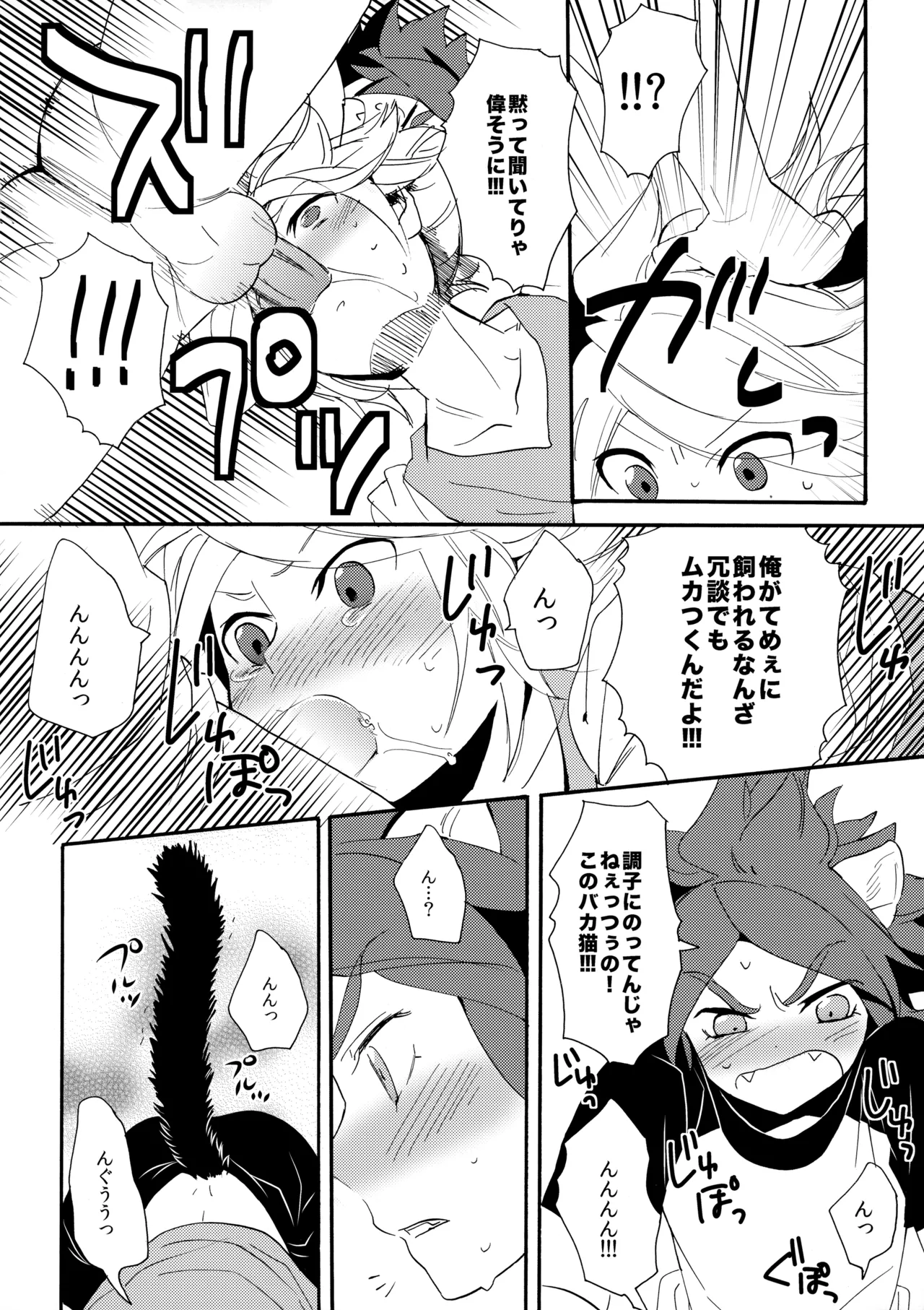 ワンにゃんカオス Page.13