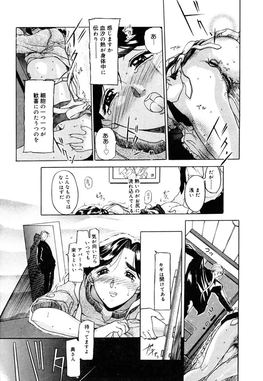 人妻とぼく。 Page.175