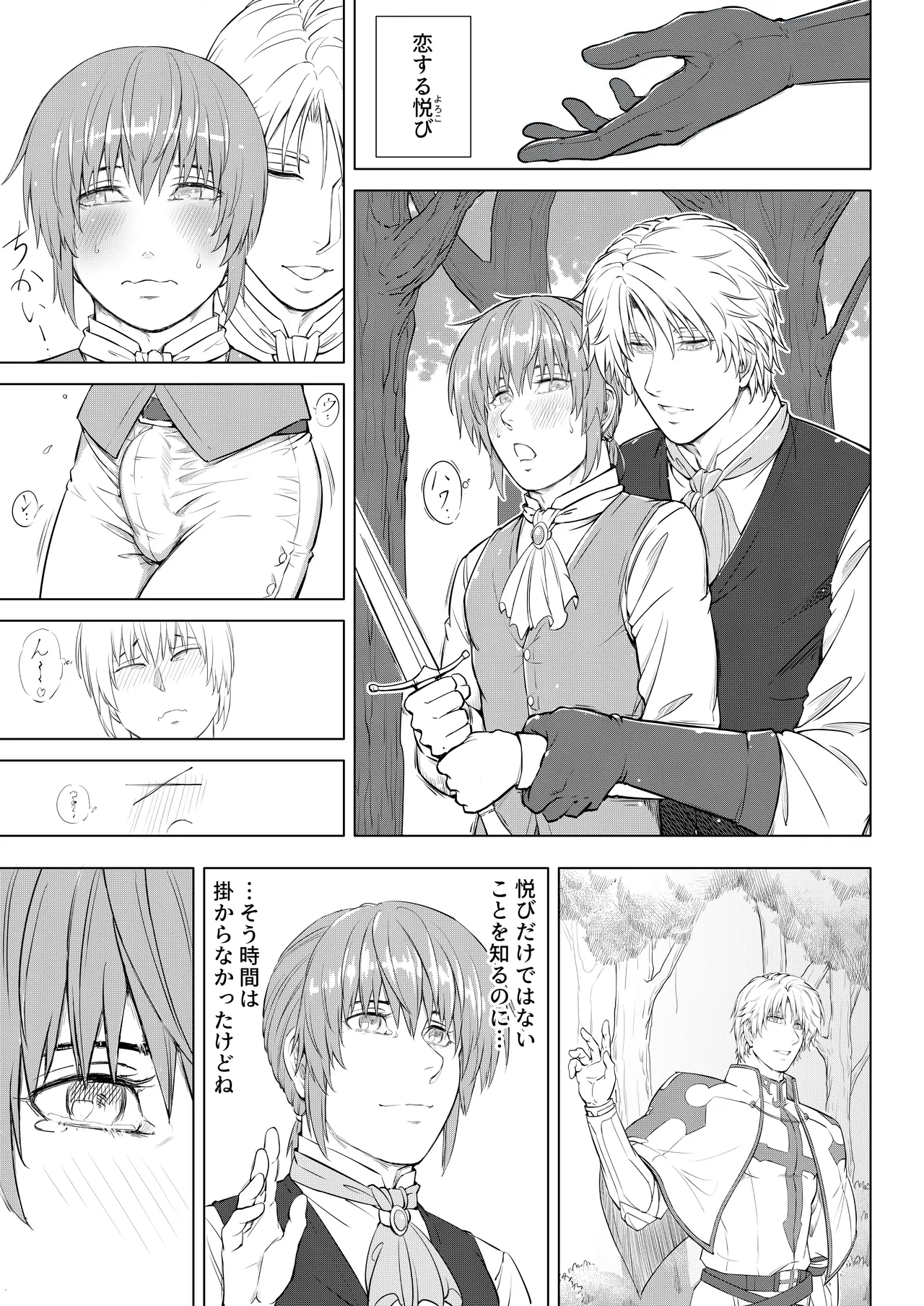 騎士と王子の秘密の夜 Page.11