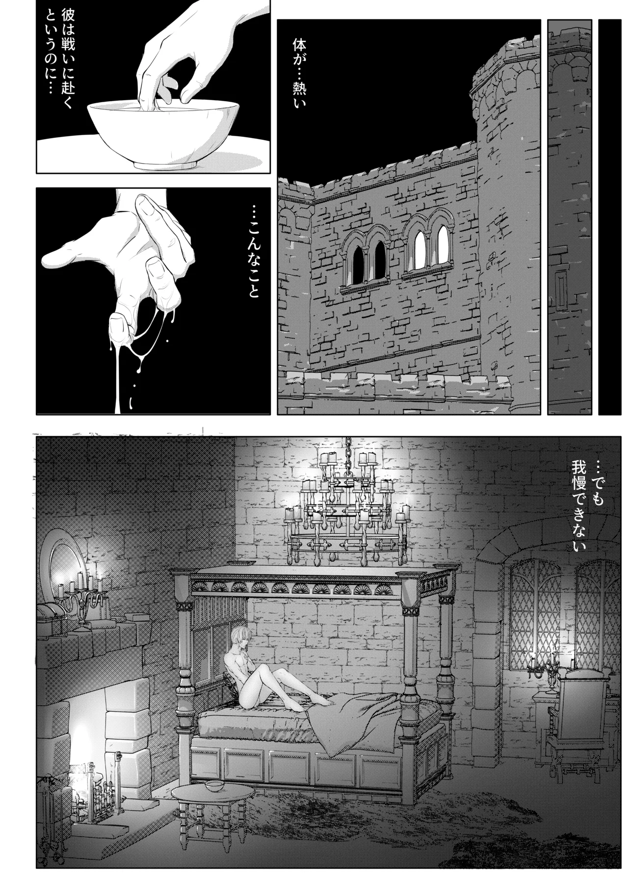 騎士と王子の秘密の夜 Page.12