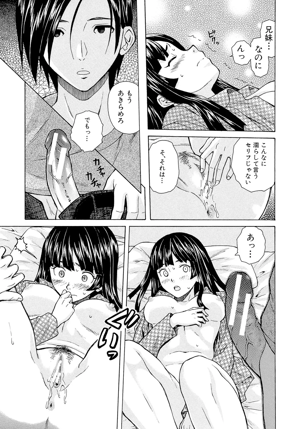 兄と妹の事情。 Page.41