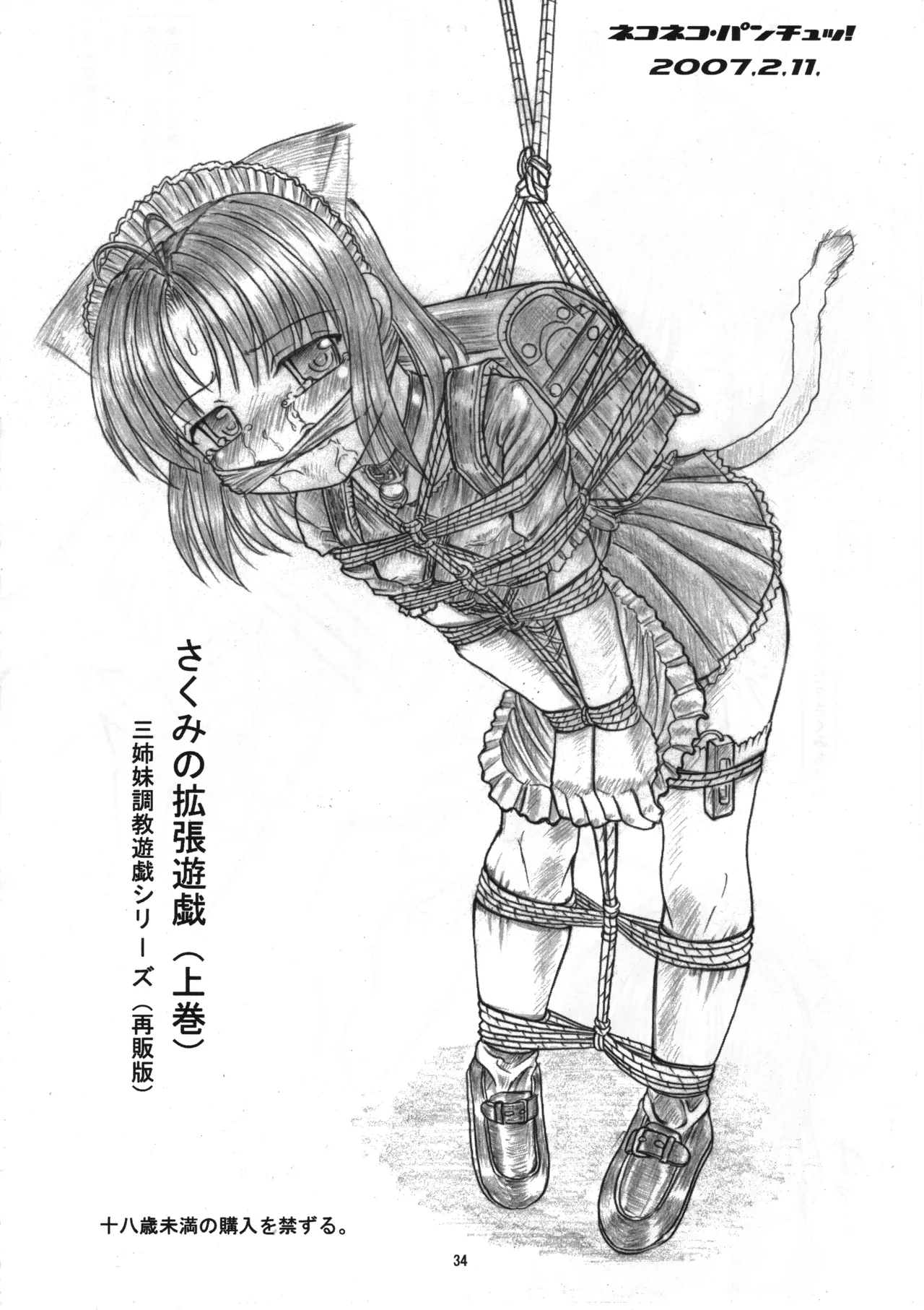 さくみの拡張遊戯 総集編 Page.33