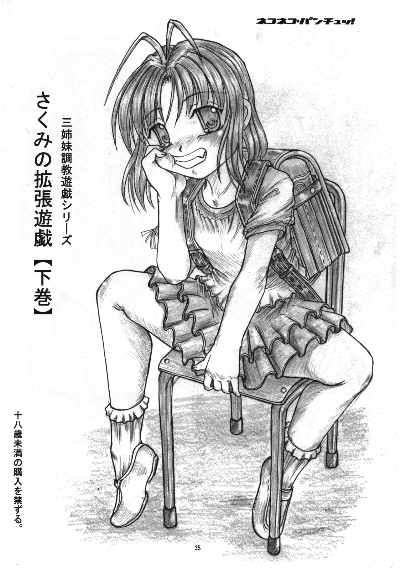 さくみの拡張遊戯 総集編 Page.34