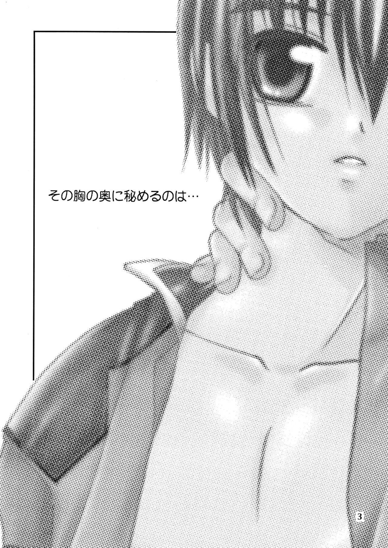 君の胸に宿る星 Page.2