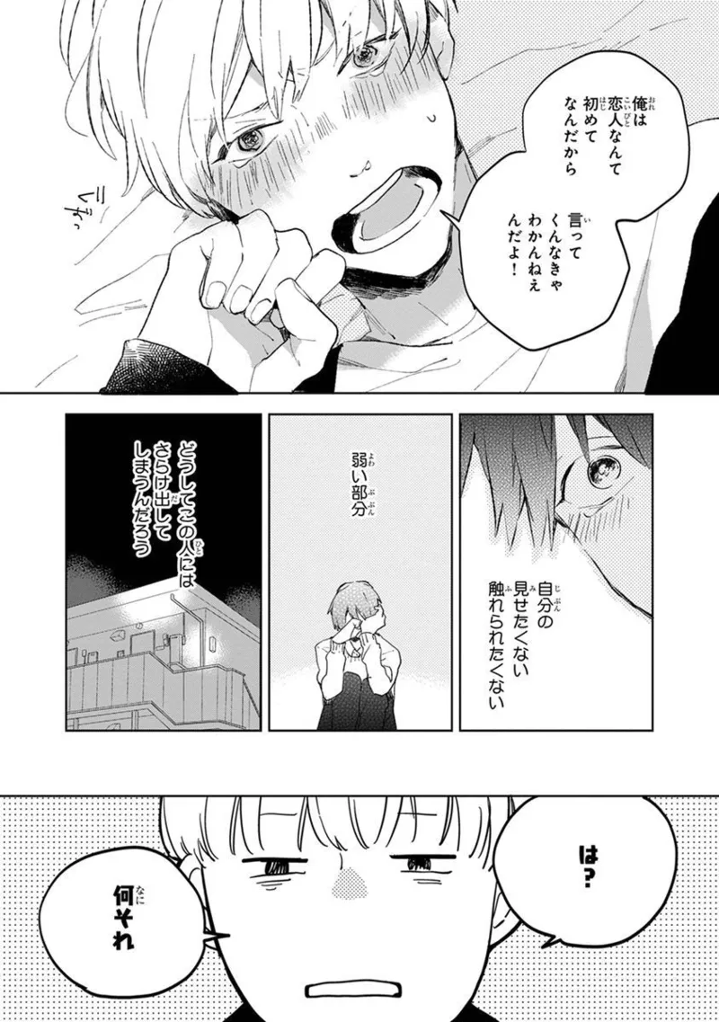 青年ドリーミー Page.205