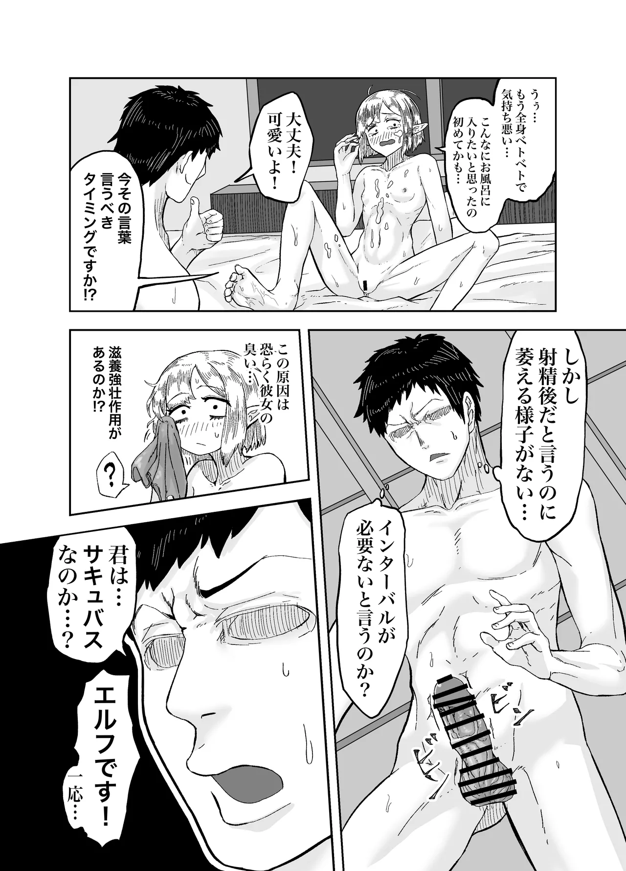 風呂嫌いな地味顔エルフの娼婦を騙して嫁にする Page.12