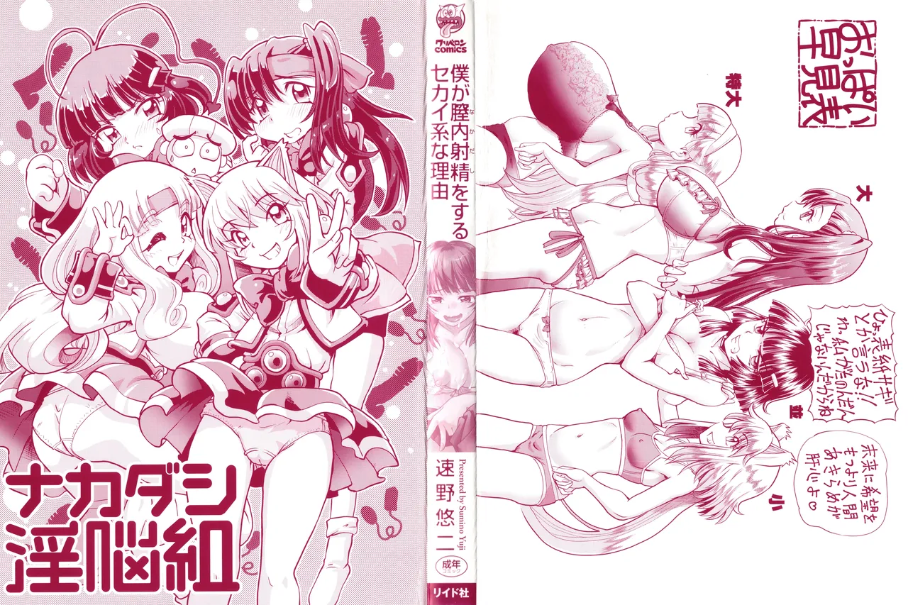 僕が膣内射精をするセカイ系な理由 Page.3