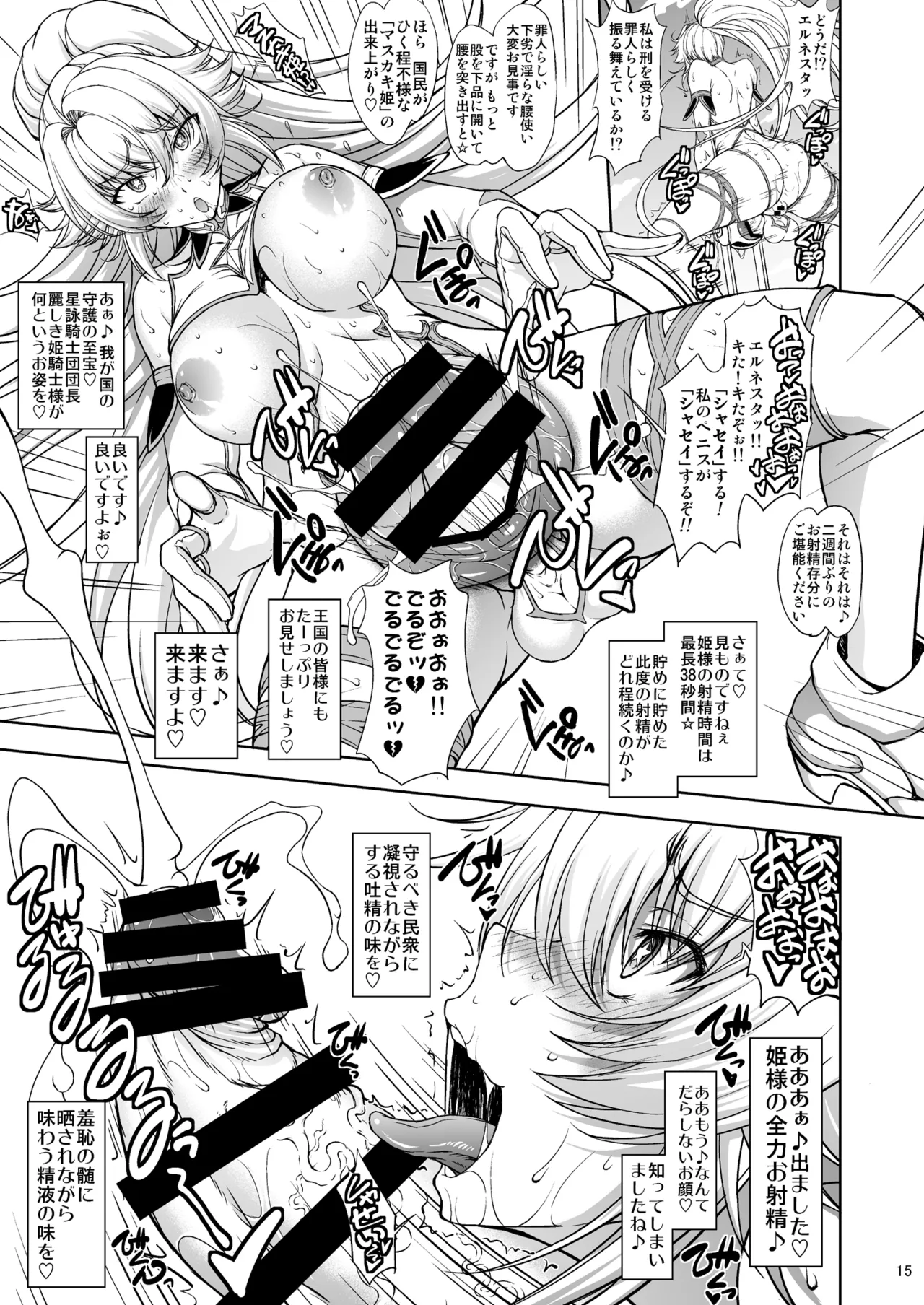 姫騎士様は視られたい! Page.15