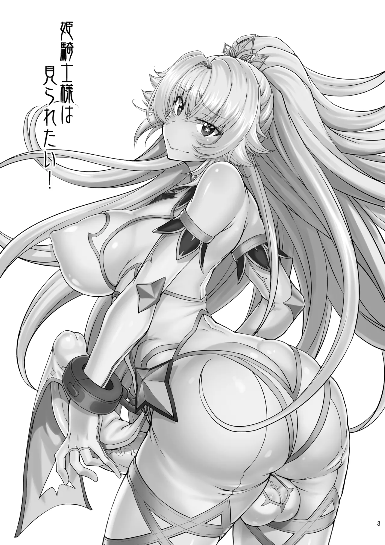 姫騎士様は視られたい! Page.3