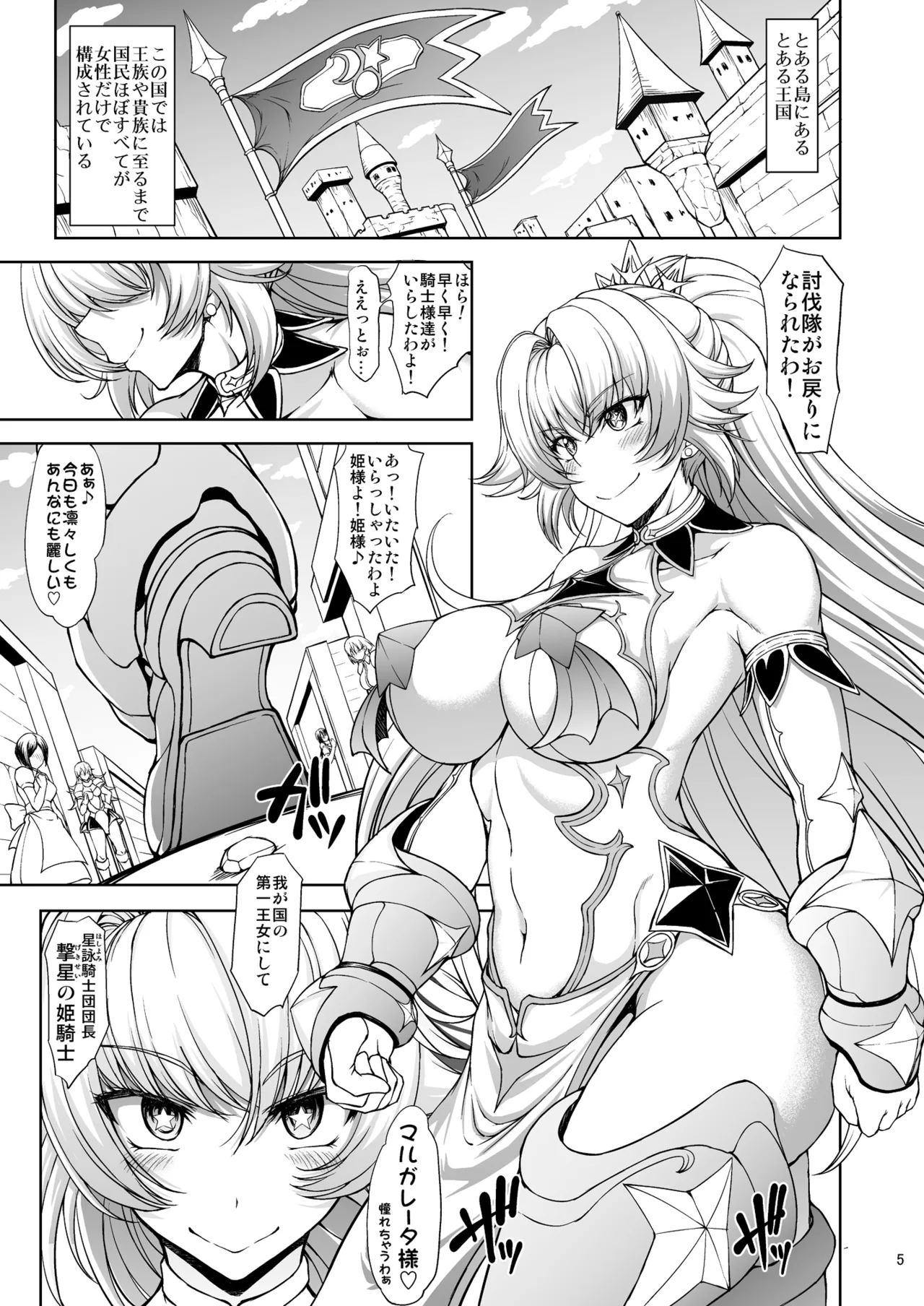 姫騎士様は視られたい! Page.5